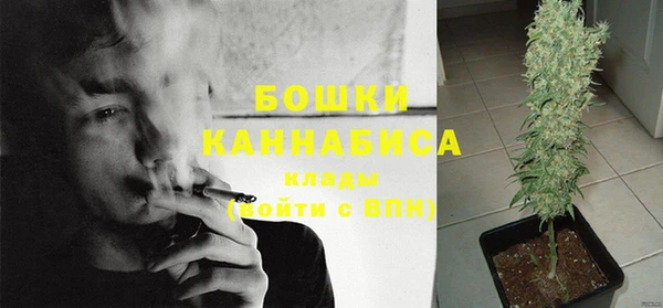 ГАЛЛЮЦИНОГЕННЫЕ ГРИБЫ Зерноград