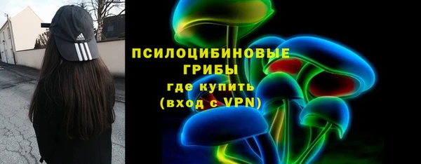 ГАЛЛЮЦИНОГЕННЫЕ ГРИБЫ Зерноград