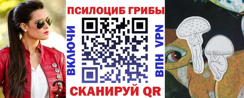 кракен зеркало  Исилькуль  Псилоцибиновые грибы Psilocybine cubensis 